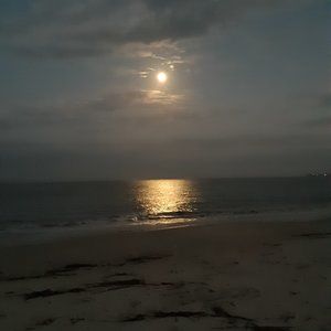 Meet your Posher, Robyn